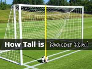 How Tall Is Soccer Goal